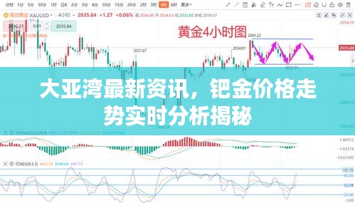 大亚湾最新资讯,钯金价格走势实时分析揭秘