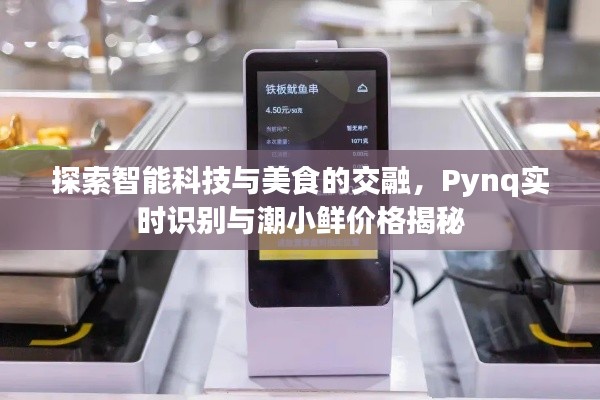 网站案例