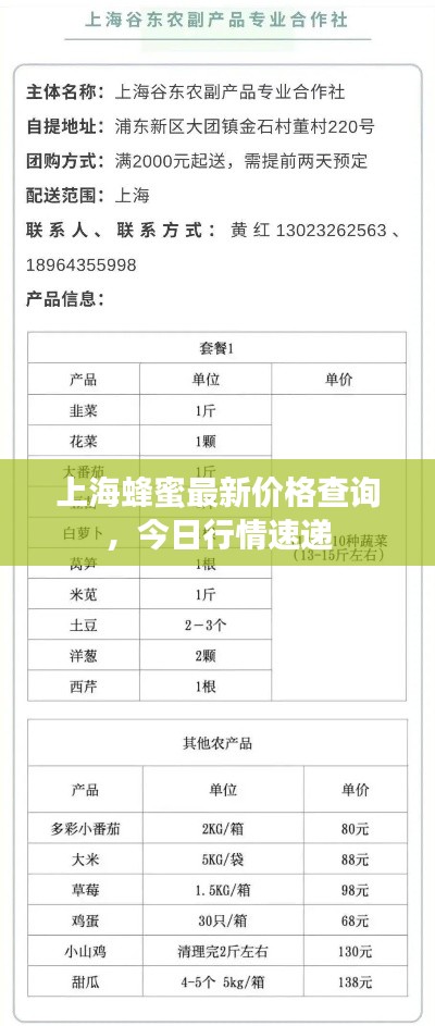 关于我们 第2页