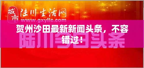贺州沙田最新新闻头条，不容错过！
