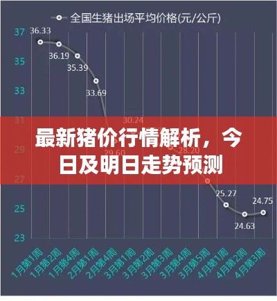 最新猪价行情解析，今日及明日走势预测