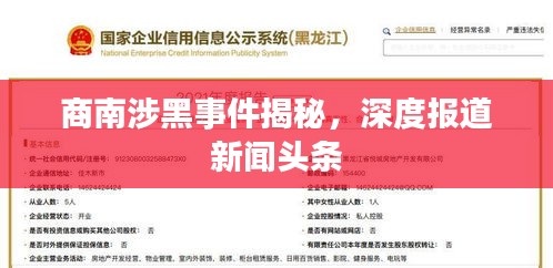 商南涉黑事件揭秘,深度报道新闻头条
