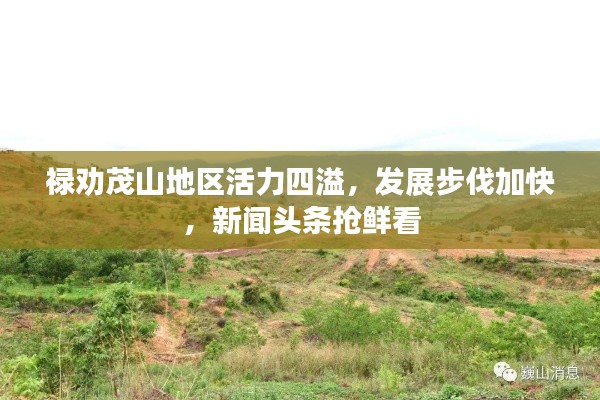 禄劝茂山地区活力四溢，发展步伐加快，新闻头条抢鲜看