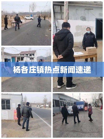 杨各庄镇热点新闻速递