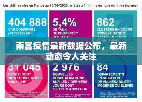 南宫疫情最新数据公布,最新动态令人关注