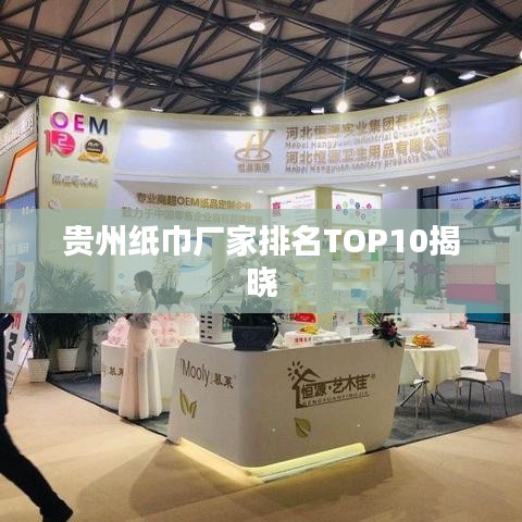 贵州纸巾厂家排名TOP10揭晓