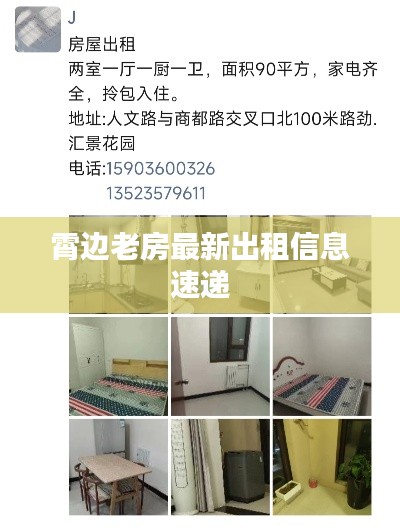 霄边老房最新出租信息速递