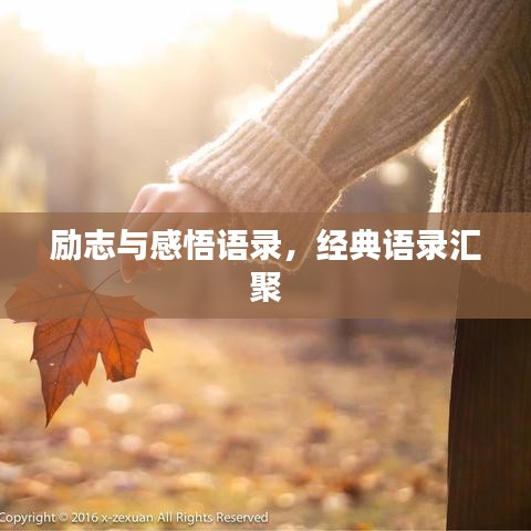励志与感悟语录,经典语录汇聚