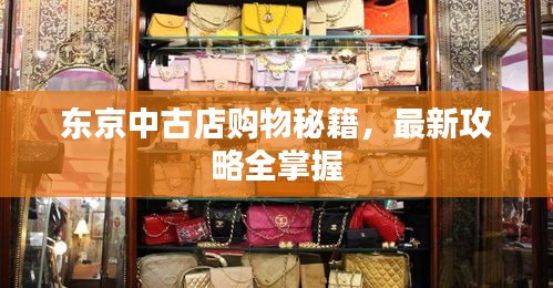 东京中古店购物秘籍,最新攻略全掌握