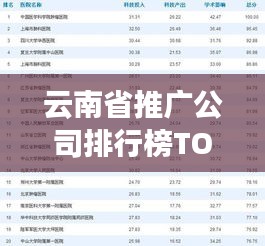 云南省推广公司排行榜TOP榜及行业影响力解析