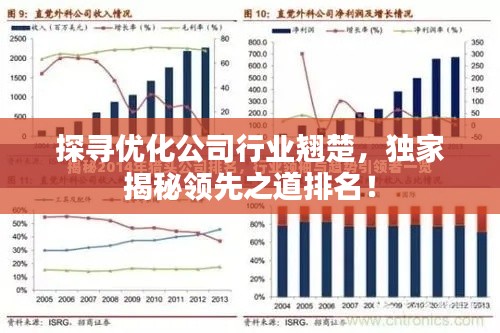 探寻优化公司行业翘楚,独家揭秘领先之道排名!