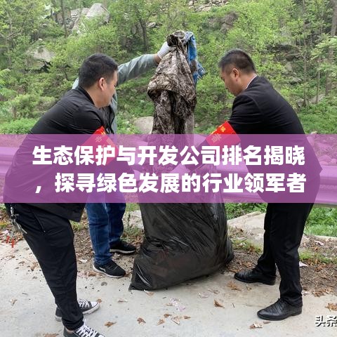 生态保护与开发公司排名揭晓,探寻绿色发展的行业领军者