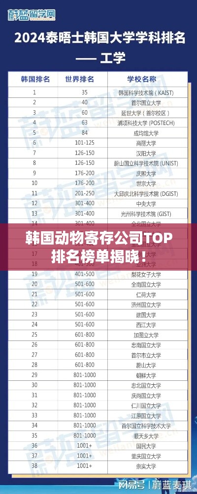 韩国动物寄存公司TOP排名榜单揭晓！