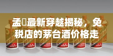 孟峎最新穿越揭秘,免税店的茅台酒价格走势大揭秘