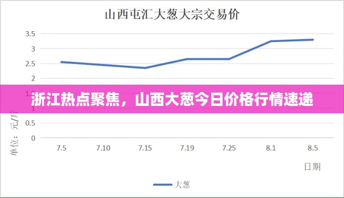 浙江热点聚焦,山西大葱今日价格行情速递