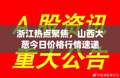 浙江热点聚焦,山西大葱今日价格行情速递