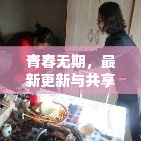青春无期,最新更新与共享盘的实时探索揭秘