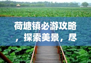 荷塘镇必游攻略,探索美景,尽享惬意度假!