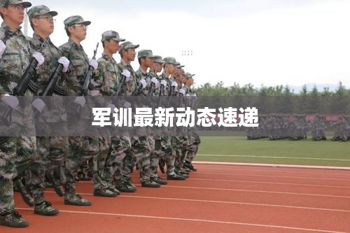 军训最新动态速递