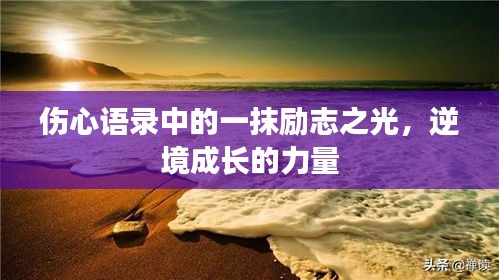 伤心语录中的一抹励志之光,逆境成长的力量