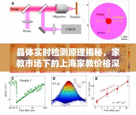 晶体实时检测原理揭秘,家教市场下的上海家教价格深度解析