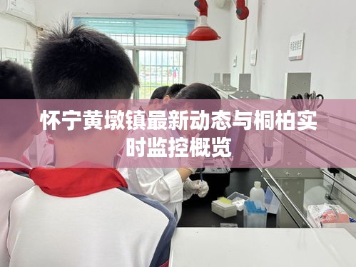 怀宁黄墩镇最新动态与桐柏实时监控概览
