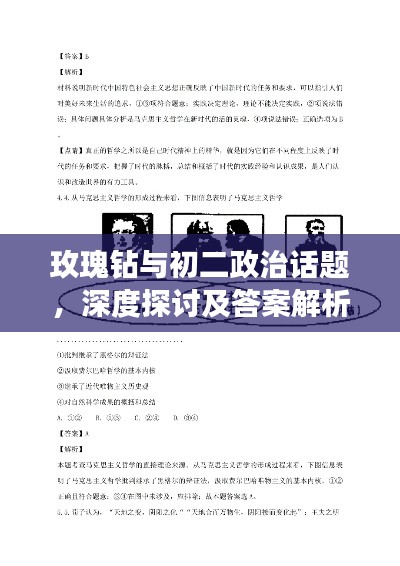 玫瑰钻与初二政治话题,深度探讨及答案解析