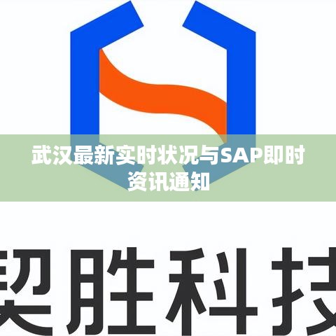 武汉最新实时状况与SAP即时资讯通知