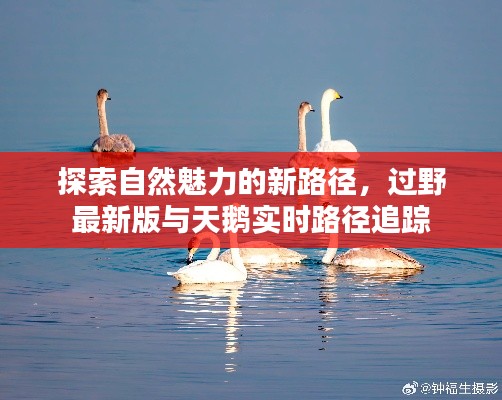 探索自然魅力的新路径,过野最新版与天鹅实时路径追踪