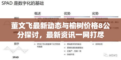 董文飞最新动态与榆树价格8公分探讨,最新资讯一网打尽