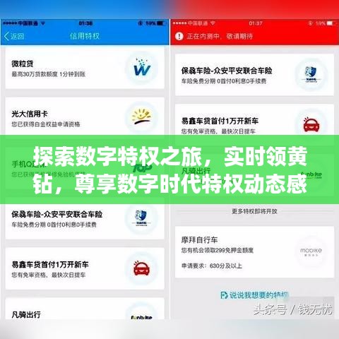 资料下载 第11页