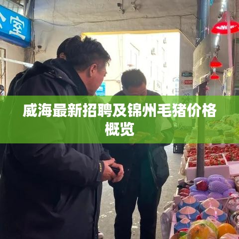 网站案例 第8页