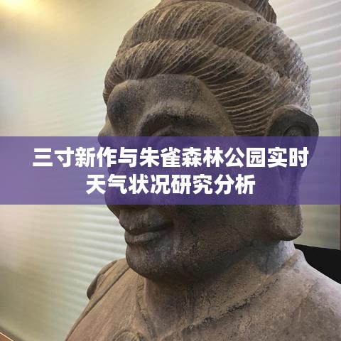 三寸新作与朱雀森林公园实时天气状况研究分析