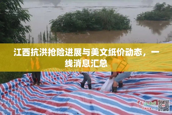 江西抗洪抢险进展与美文纸价动态,一线消息汇总