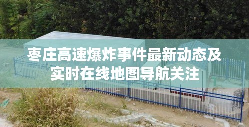 举止娴雅