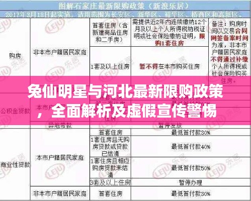 兔仙明星与河北最新限购政策,全面解析及虚假宣传警惕
