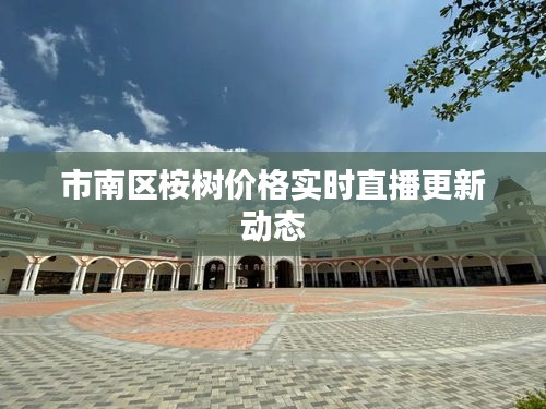 市南区桉树价格实时直播更新动态