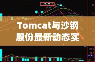 Tomcat与沙钢股份最新动态实时关注