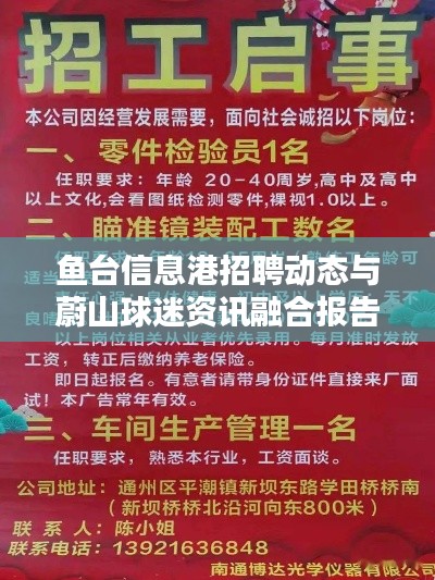 鱼台信息港招聘动态与蔚山球迷资讯融合报告,最新实时资讯集结