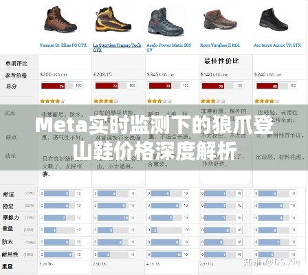 Meta实时监测下的狼爪登山鞋价格深度解析