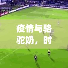 疫情与骆驼奶,时空交错下的观察与思考