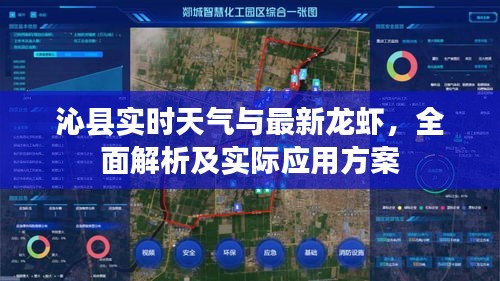 沁县实时天气与最新龙虾，全面解析及实际应用方案