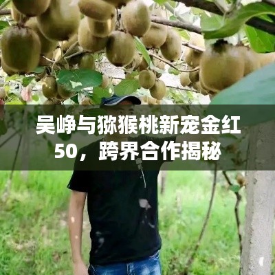 吴峥与猕猴桃新宠金红50，跨界合作揭秘