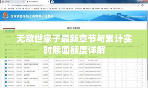 无敌世家子最新章节与累计实时赎回额度详解