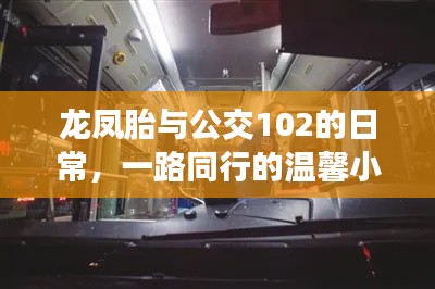 龙凤胎与公交102的日常，一路同行的温馨小故事