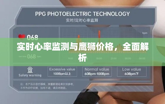 实时心率监测与鹰狮价格，全面解析