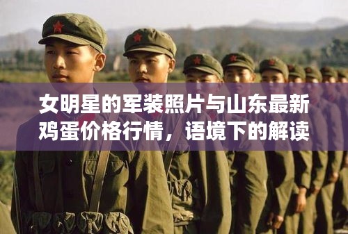 女明星的军装照片与山东最新鸡蛋价格行情，语境下的解读与警示