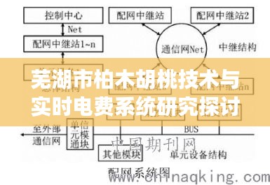 芜湖市柏木胡桃技术与实时电费系统研究探讨及分析