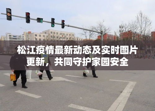 松江疫情最新动态及实时图片更新,共同守护家园安全