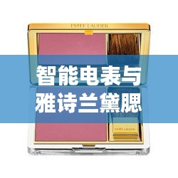 智能电表与雅诗兰黛腮红，实用知识与价格深度解析
